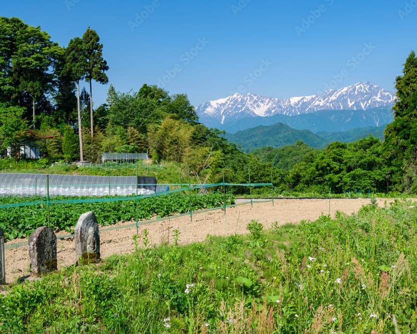 北信濃の風景