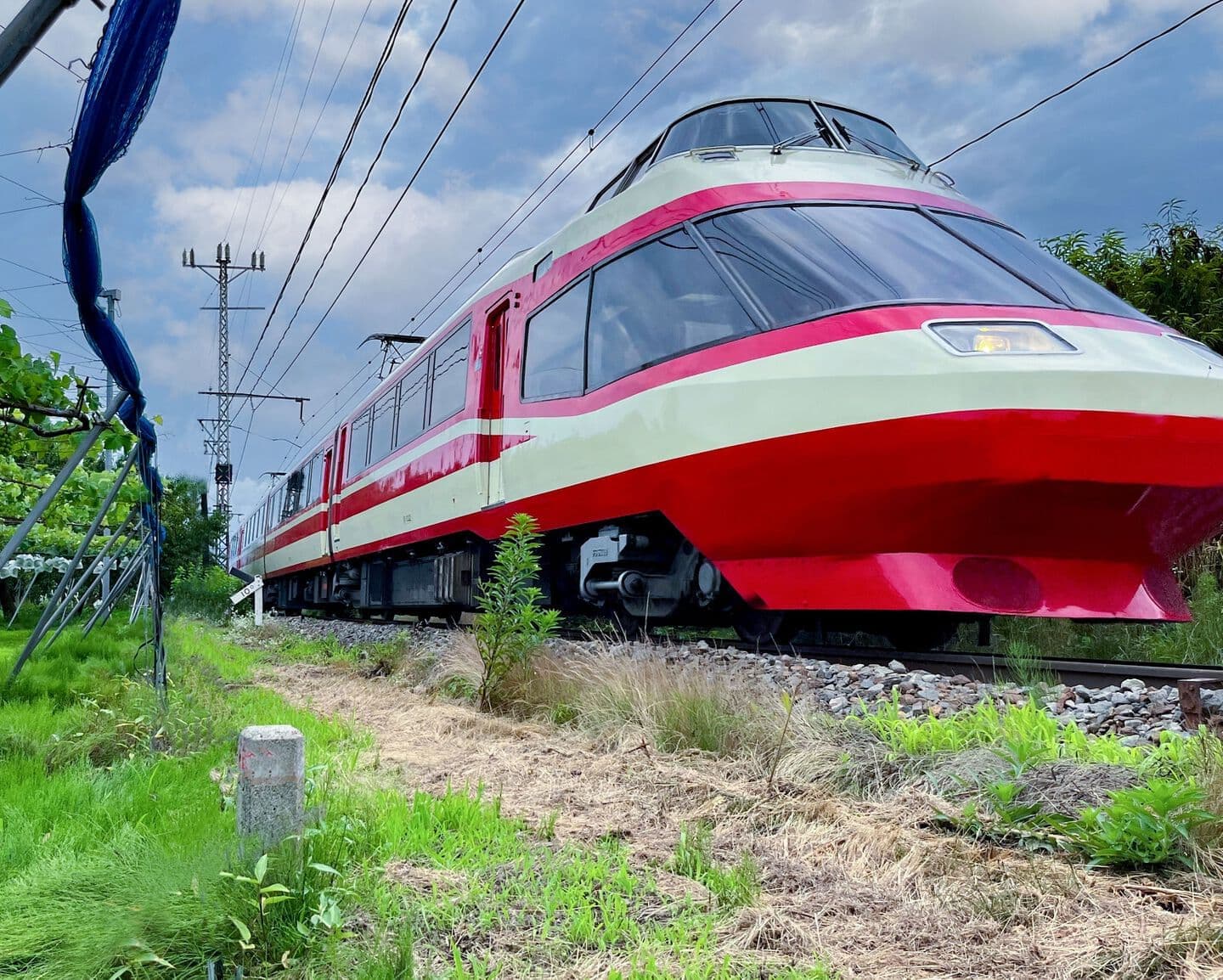 長野電鉄の特急ゆけむりとぶどう畑