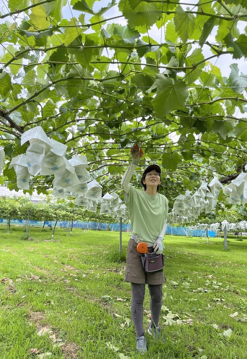 農園主_横山知子